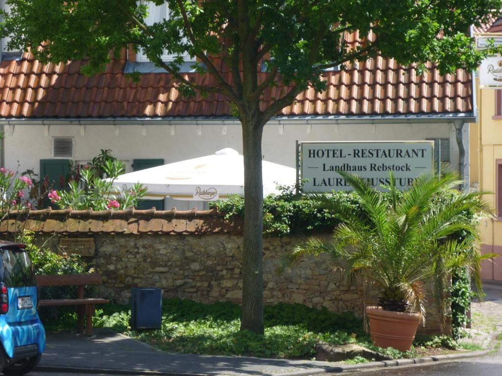 Landhaus Rebstock Worms Exteriör bild